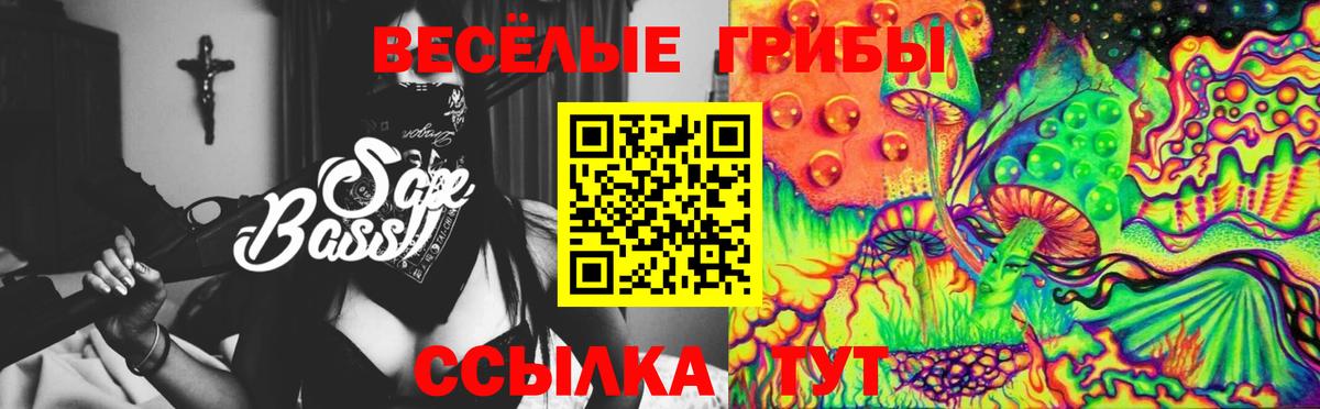 Галлюциногенные грибы прущие грибы  Вход с VPN  Москва  Галлюциногенные грибы мухоморы 